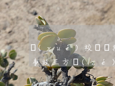 學(xué)校課間期間嬉鬧發(fā)生事故，三方責(zé)任如何分擔(dān)？